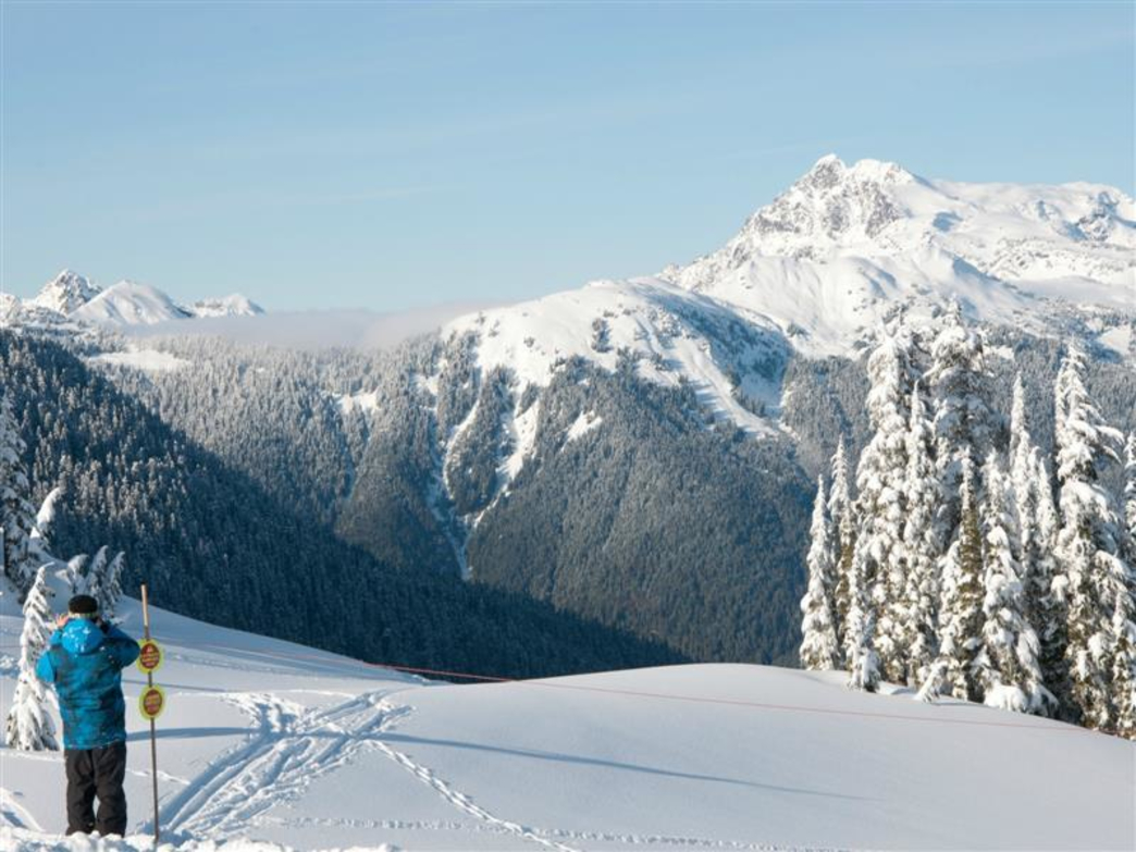 Mount Baker Ski Area